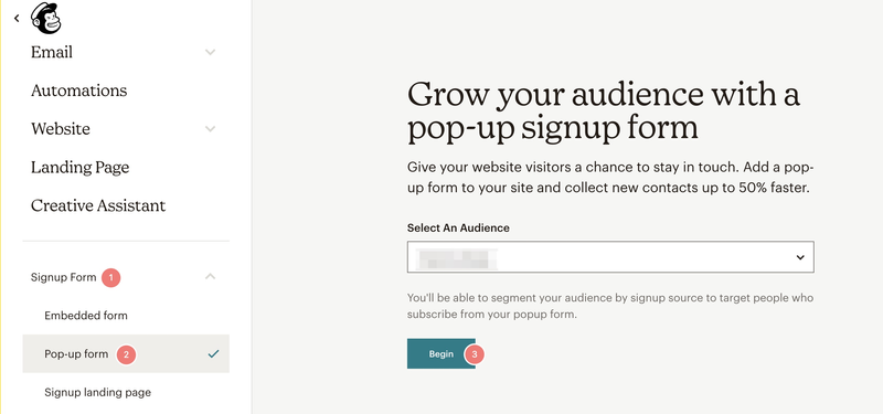 select audience popup form